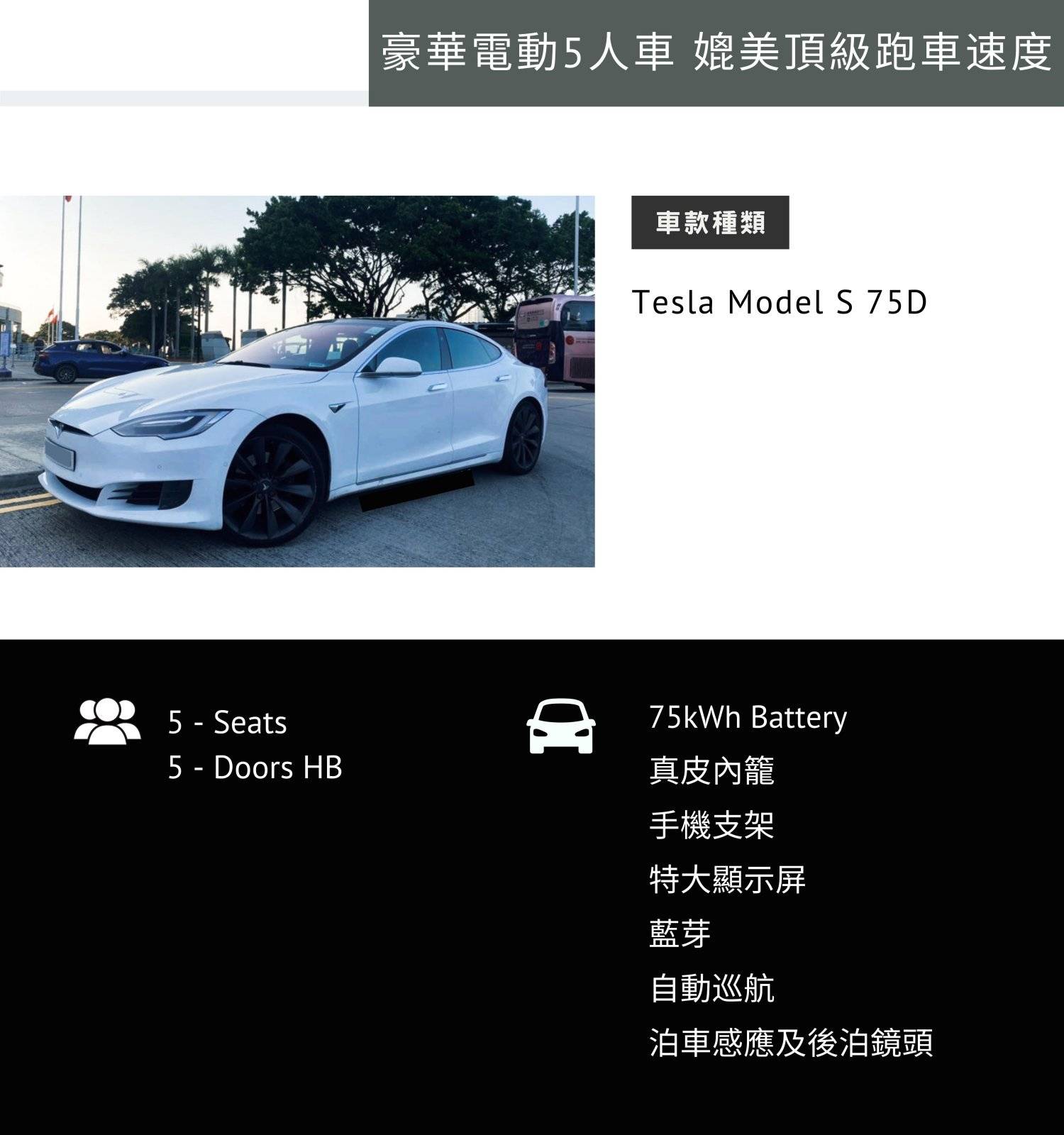 Flying Auto Hong Kong Tesla Model S 75D - 豪華電動5人車 (月租) 2
