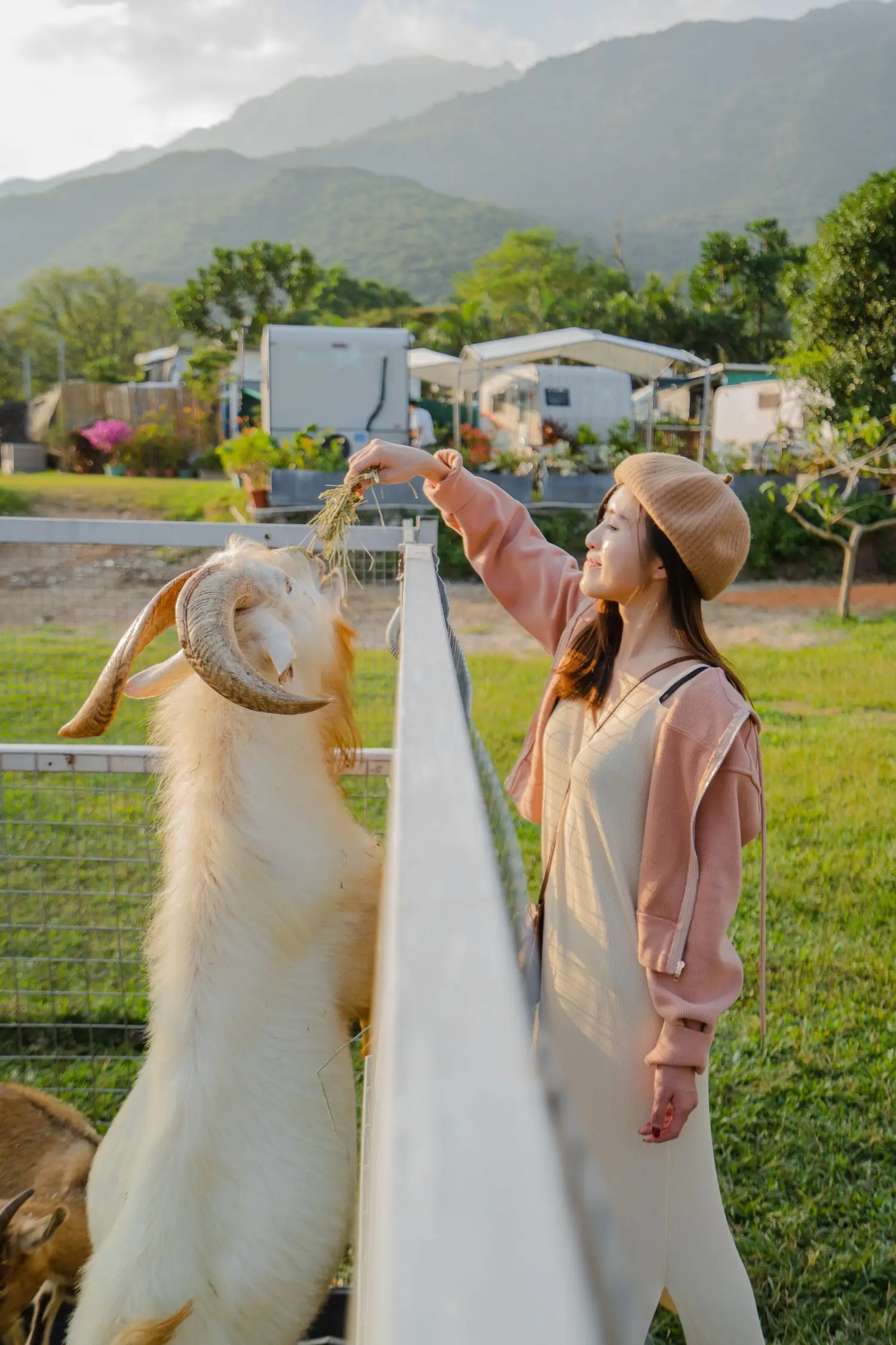 JK Club Campervan Rental - Luxurious Camping by Pui O Beach 601 (6人) - 6人- JK Club Workshops+Caravan Experience Package 36
