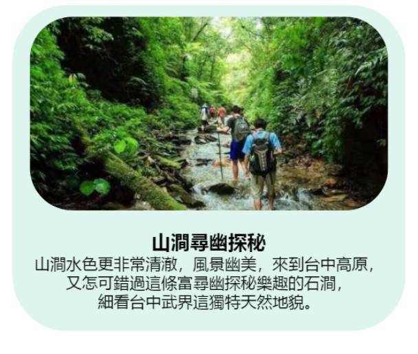 GOGO CAMP COMPANY 【台中5天雲海體驗】台中雲海露營採茶體驗 5天休閒美景之旅 8