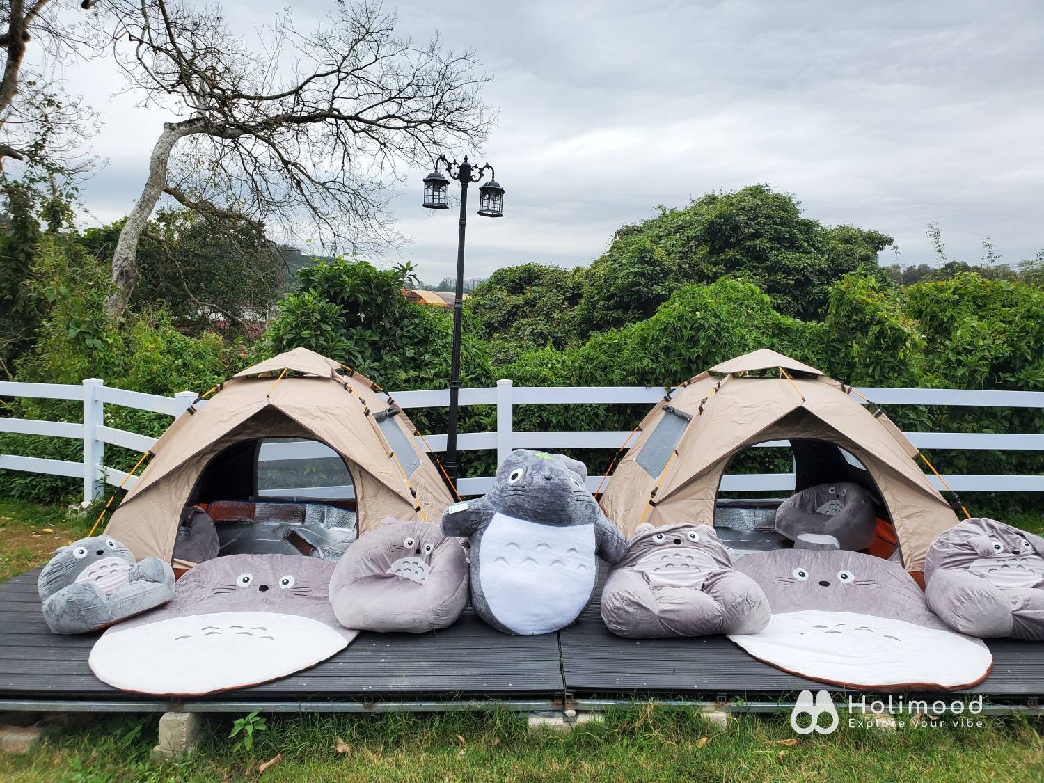 Xtivity 【貓巴士主題】任你玩2日1夜露營+派對｜寵物友善｜親子好去處｜包場派對 15