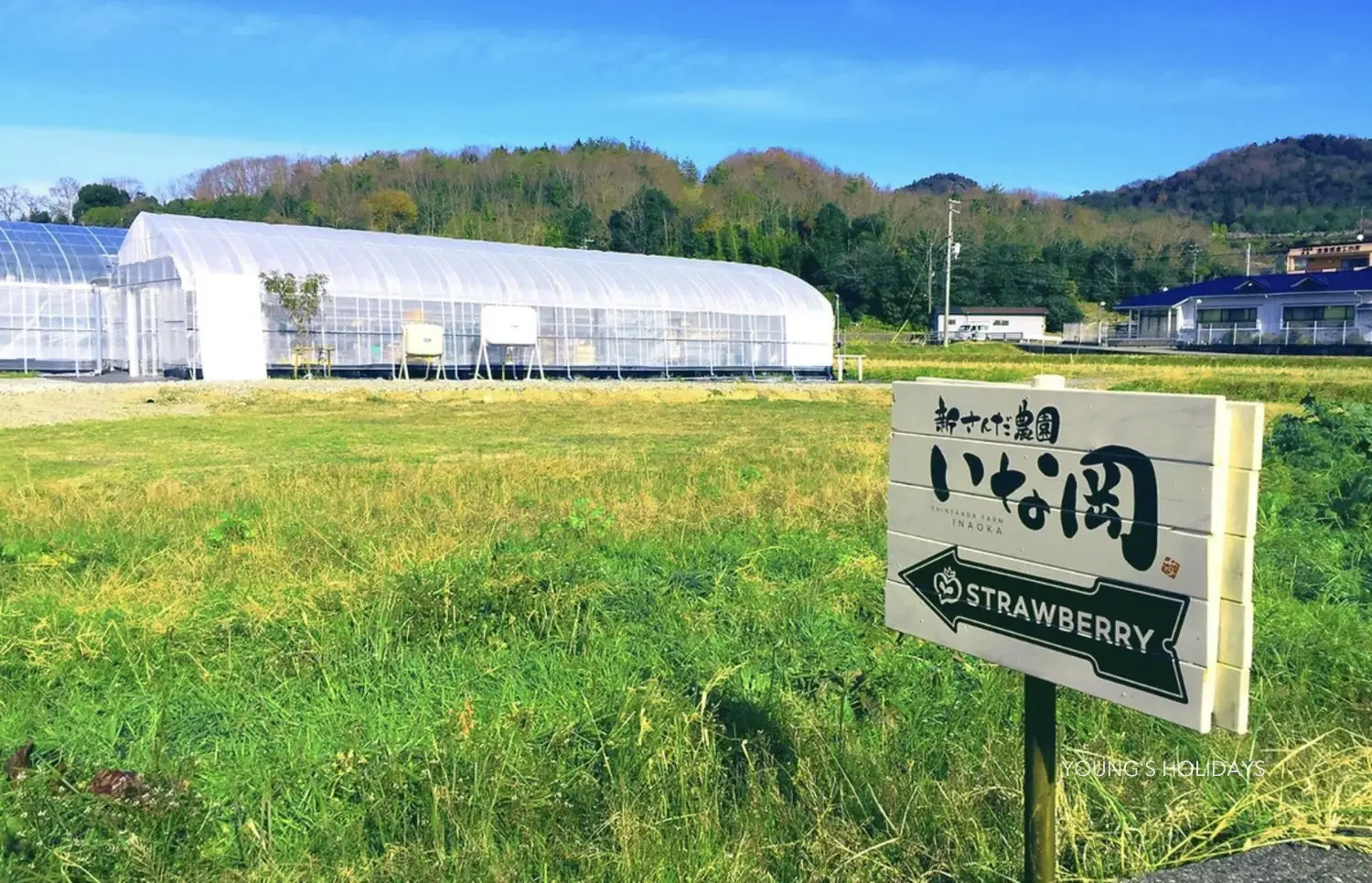 Youngs Holiday 悠揚假期 - 潛水旅遊、自駕遊、日本露營車 【莓香四溢】大阪Inaoka 水果園30分鐘草莓吃到飽體驗 5