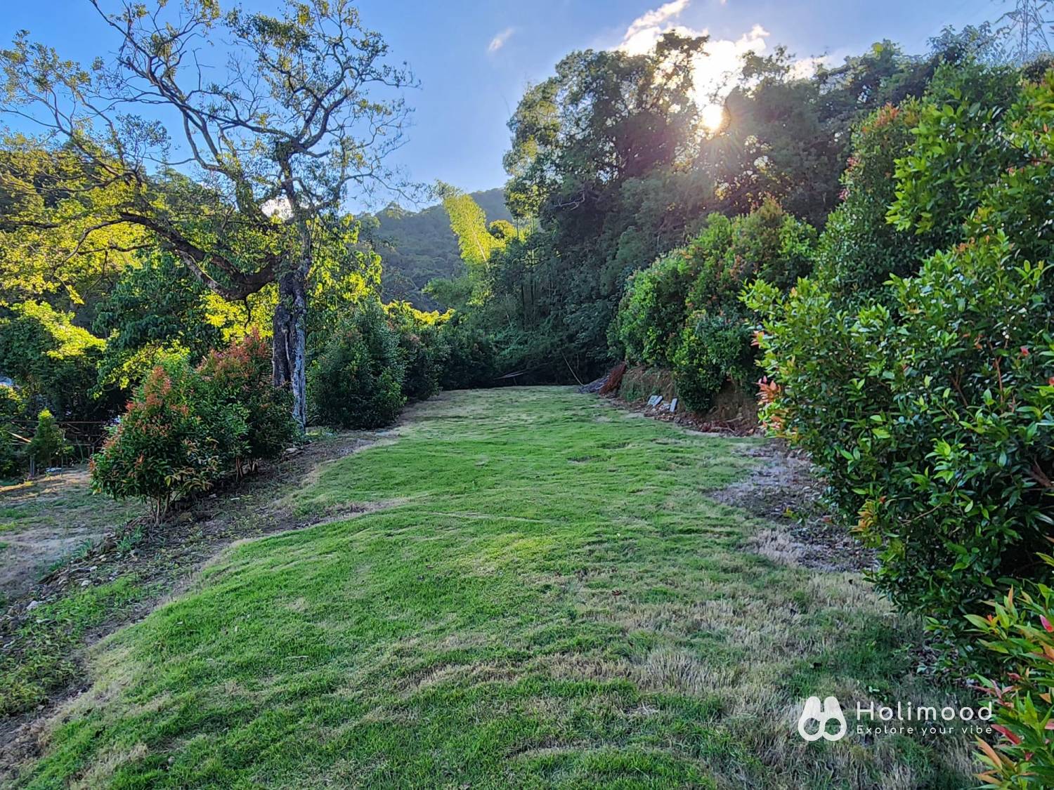 營喜野外露營場地 【深山系野外營區】自攜營帳體驗 - Zone B 莊園區 4