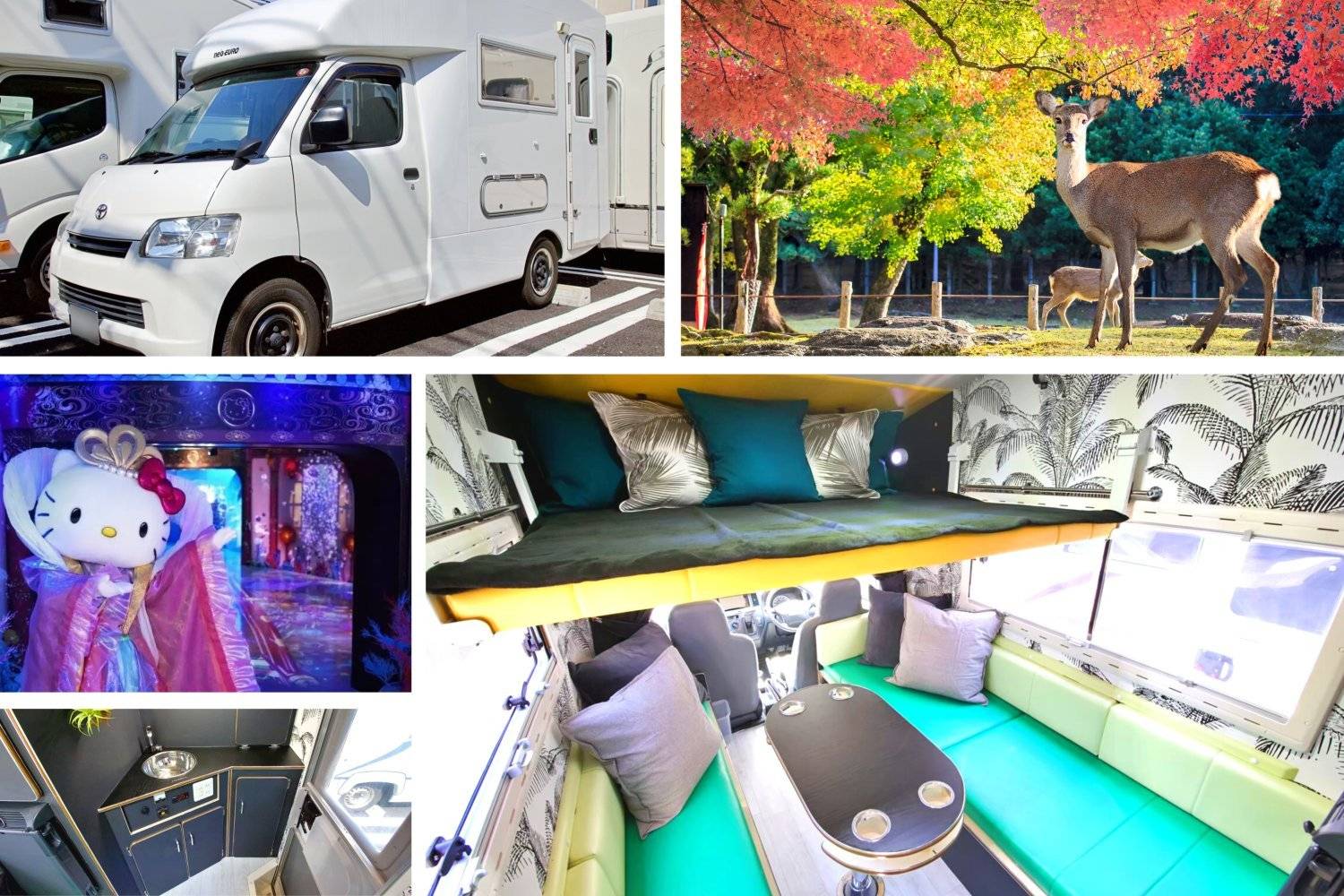 Young's Holidays 【Osaka】Japan 5ppl RV Caravan 24 hours Rental Experience(JOSN) 1