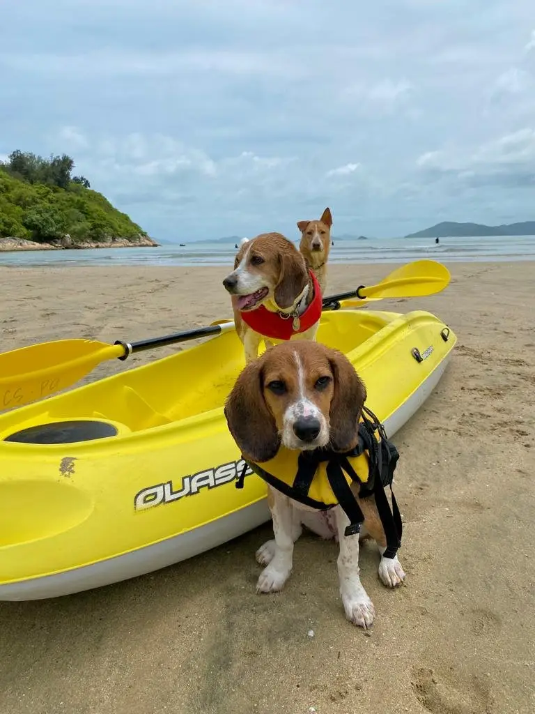 Long Coast Seasports - Lantau Island Cheung Sha Beach Water Activities & Glamping 【Cheung Sha Village 】Deluxe Caravan+Free Water Sports Voucher (For 4 Ppx) 18