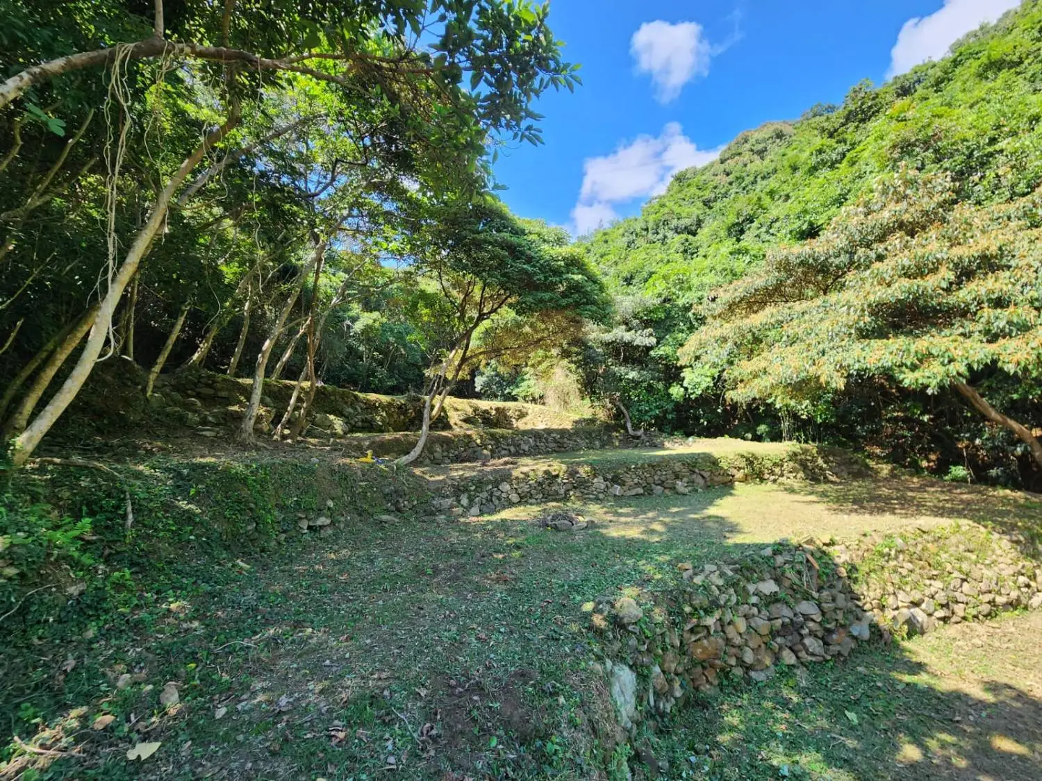 . 【Wild Camping】Zone A - BYOT Package (Pet-friendly) 11