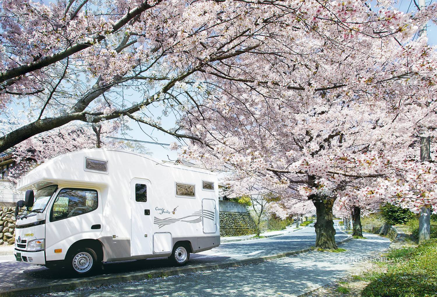 Young's Holidays 【Tokyo Narita】Japan 5ppl RV Caravan 24 hours Rental Experienc(VCBS) 2