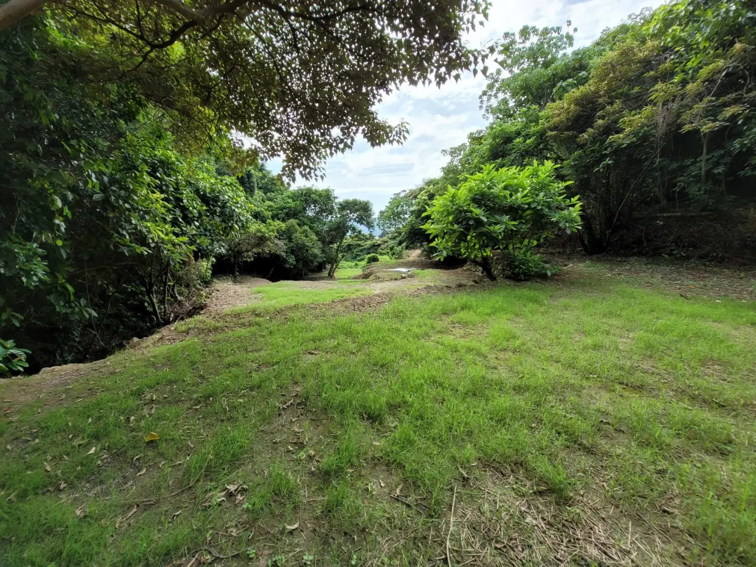 . 【Wild Camping】Zone A - BYOT Package (Pet-friendly) 4