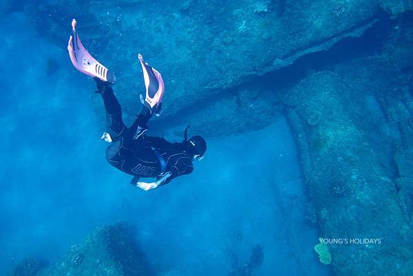 Young's Holidays [Tokyo Ogasawara Island] Asia Galapagos Diving Heaven Ogasawara 7 Days 6 Nights Diving Tour 23