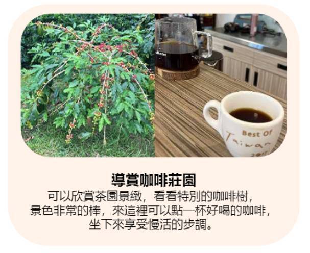 GOGO CAMP COMPANY 【台中5天雲海體驗】台中雲海露營採茶體驗 5天休閒美景之旅 9