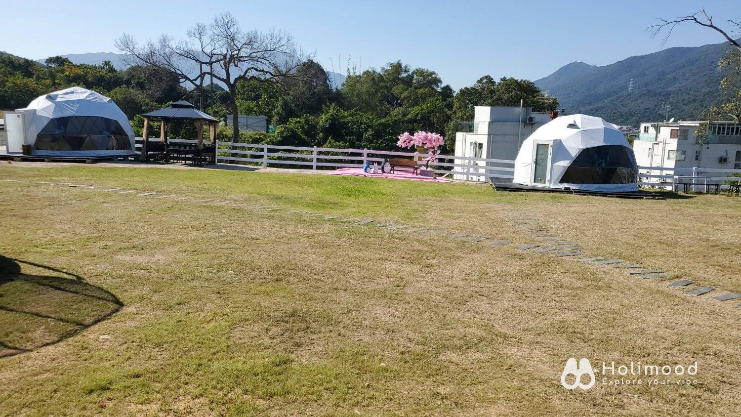 Xtivity 【貓巴士主題】任你玩2日1夜露營+派對｜寵物友善｜親子好去處｜包場派對 3