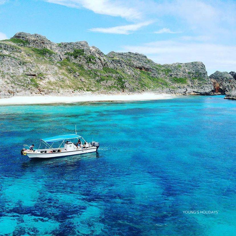 Young's Holidays [Tokyo Ogasawara Island] Asia Galapagos Diving Heaven Ogasawara 7 Days 6 Nights Diving Tour 2