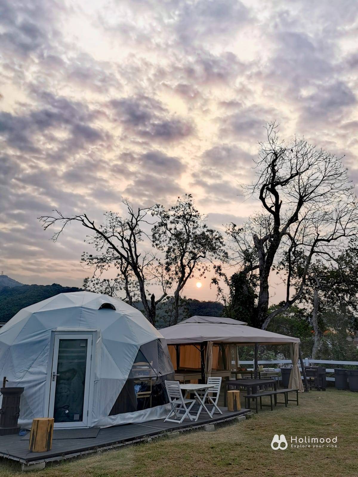 Xtivity 【貓巴士主題】任你玩2日1夜露營+派對｜寵物友善｜親子好去處｜包場派對 11