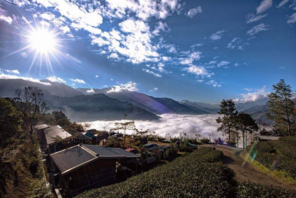GOGO CAMP COMPANY 【台中5天雲海體驗】台中雲海露營採茶體驗 5天休閒美景之旅 12