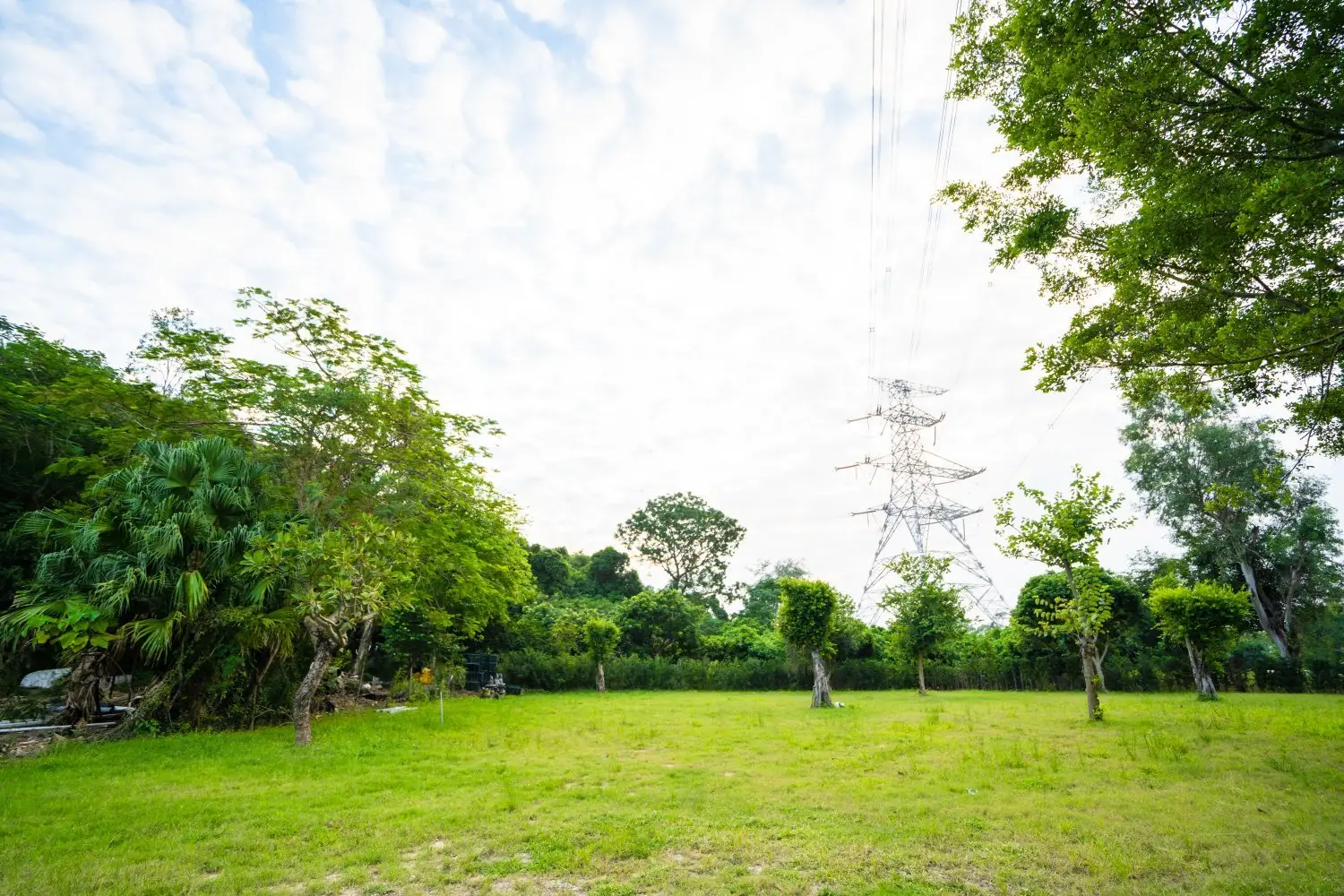 Forest Pathway Camping | Kam Tin Campsite·Pet-friendly Forest Pathway - Camping (Bring your own tent/ tent Rental) 14