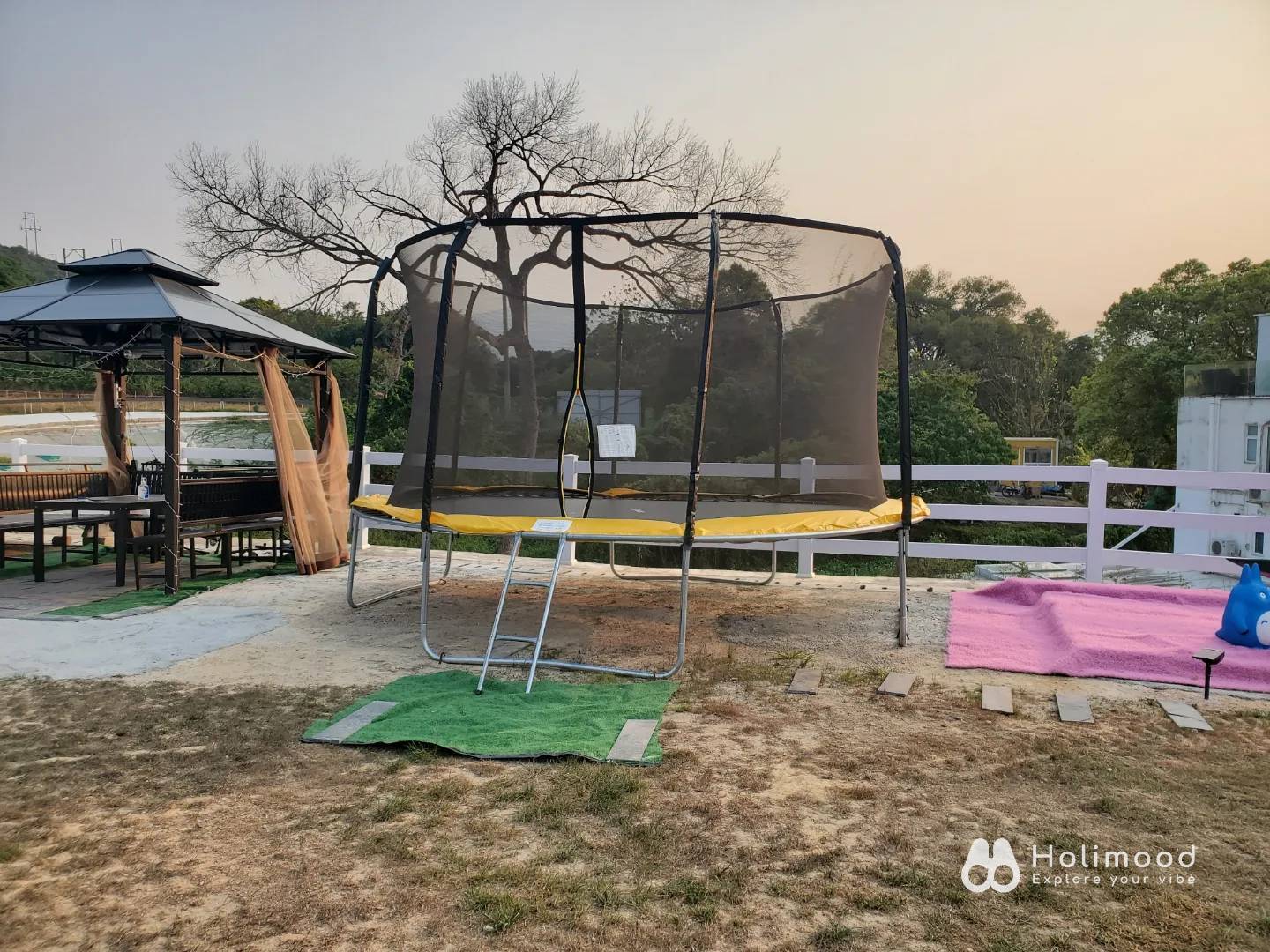 Xtivity 【貓巴士主題】任你玩2日1夜露營+派對｜寵物友善｜親子好去處｜包場派對 25