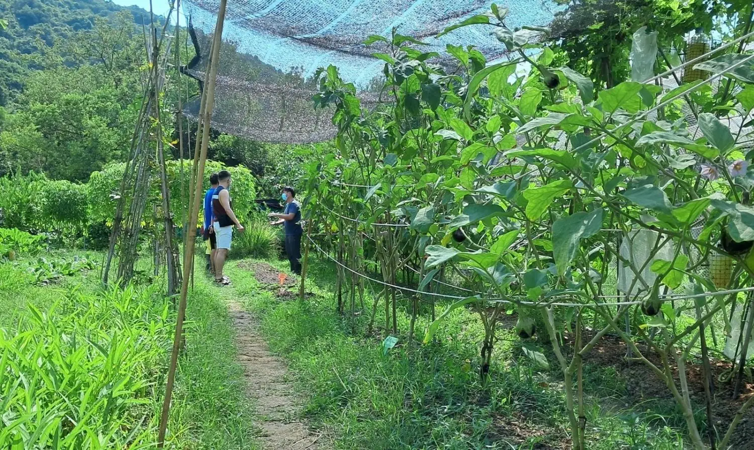JK Club 貝澳露營車 - 貝澳沙灘旁的豪華露營體驗 【貝澳】4人-工作坊連中型露營車體驗套票 (親親小動物/早.晚餐) 15