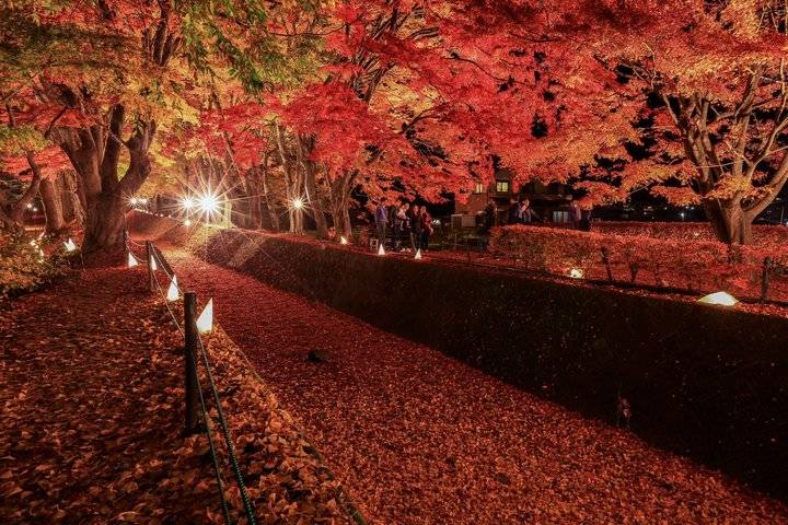 星程旅遊獨家優惠｜日本、韓國、泰國  - 活動門票/套票/一天團 東京富士山河口湖紅葉-1天團 【忍野八海、淺間神社、河口湖紅葉迴廊、富士山博物館】KTF-01A 3