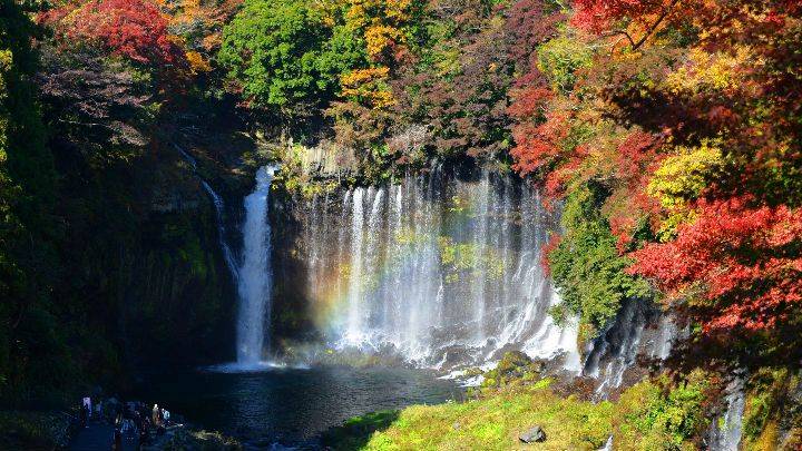 星程旅遊獨家優惠|日本、韓國、泰國 - 活動門票/套票/一天團 秋日富士山河口湖紅葉迴廊、川越、輕井澤秋色溫泉 2天團【忍野八海、淺間神社、入住八岳森林小木屋、白絲瀑布、小江戶川越街道】KTK-02A 東京出發 4