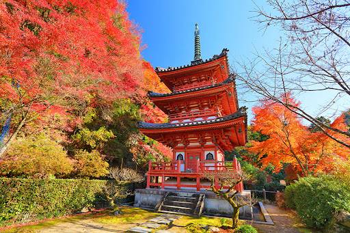 星程旅遊獨家優惠｜日本、韓國、泰國  - 活動門票/套票/一天團 宇治紅葉名所1天團-【 三室戸寺, 宇治抹茶街,平等院-表參道,紫式部雕像】 (KOU-01A) 大阪出發 3