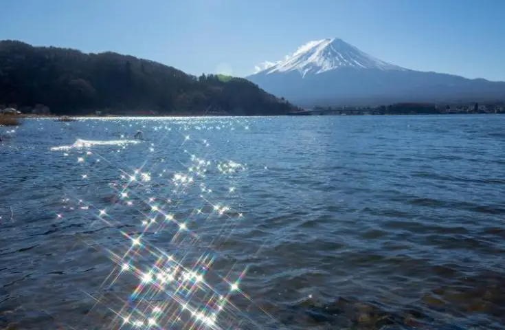 海日旅行社 【日本 一人成團系列】新宿出發 富士河口湖、西湖合掌村、甲州葡萄酒和牛美食 1天團 5