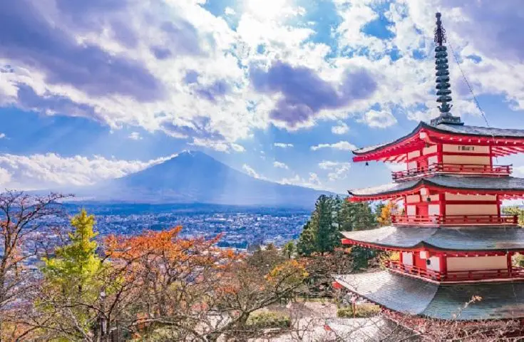 海日旅行社 【日本 一人成團系列】新宿出發 富士河口湖、西湖合掌村、甲州葡萄酒和牛美食 1天團 4