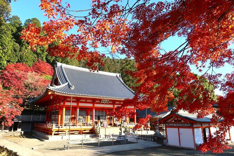 星程旅遊獨家優惠｜日本、韓國、泰國  - 活動門票/套票/一天團 有馬紅葉名所一天團【勝尾寺- ▎箕面紅葉公園 ▎瑞寶寺公園】(KOA-01A) 大阪出發 6