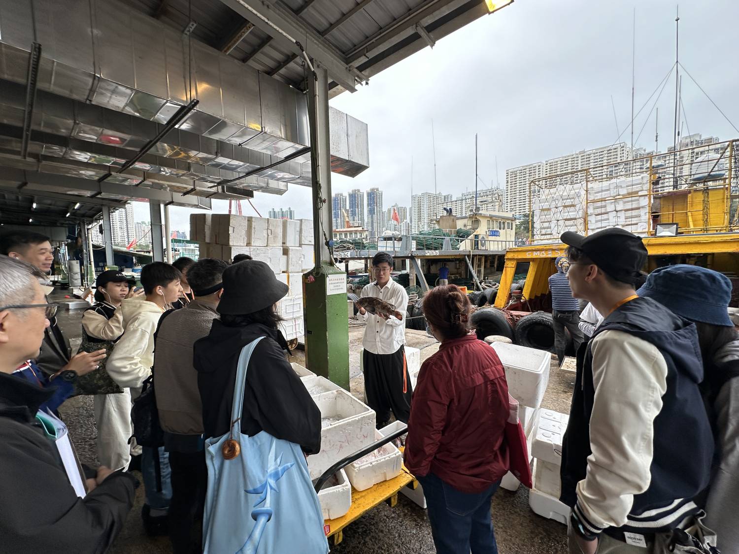 街坊帶路 漁家嚮導ｘ黎諾維「海魚學堂」(魚市場進階版) 2