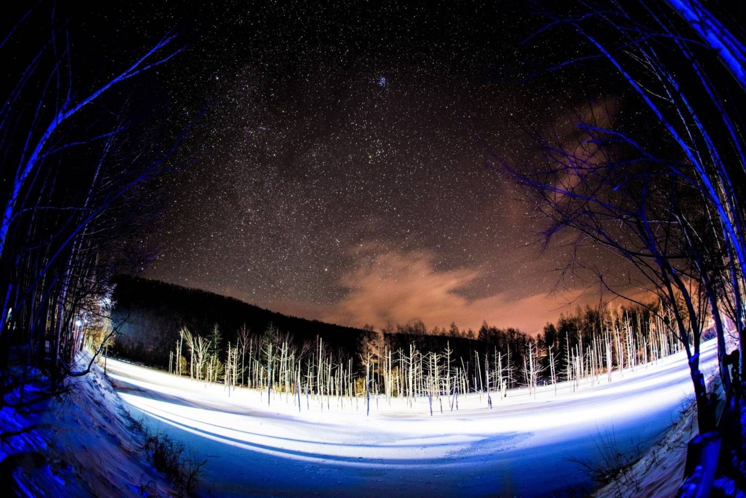 星程旅遊獨家優惠｜日本、韓國、泰國  - 活動門票/套票/一天團 北海道飄雪紛紛5選-破冰船-冰上釣魚-雪上電單車-青池點燈-企鵝巡遊，晚上浸白金溫泉，怡然自樂【破冰船體驗▎網走冰湖上釣魚體驗▎旭山動物園▎限定點燈青池】札幌出發KHE-03F 3