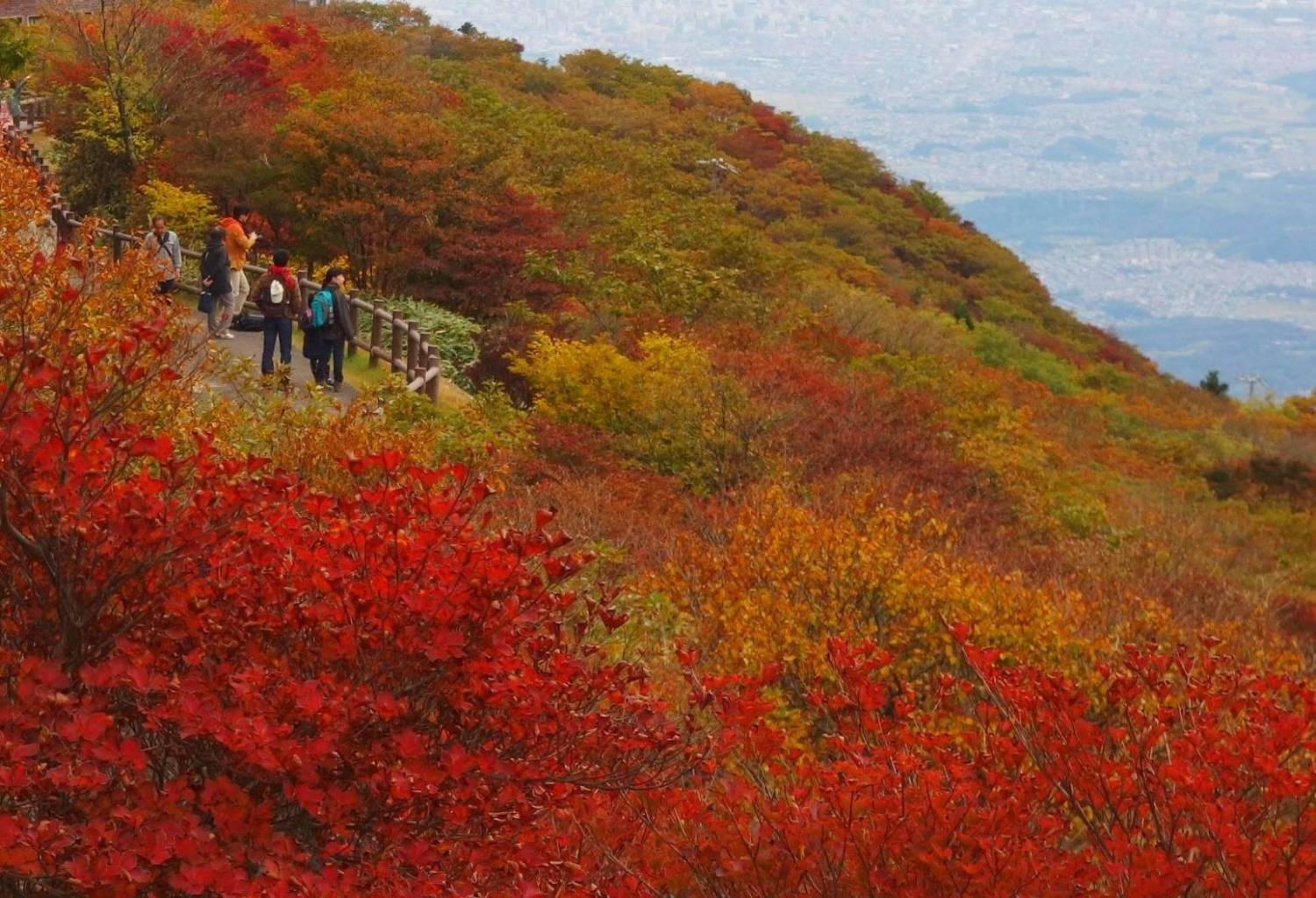 星程旅遊獨家優惠|日本、韓國、泰國 - 活動門票/套票/一天團 名古屋紅葉名所一天遊-(鈴鹿賽車場樂園+御在所岳+AQUAIGNIS) (KNG-01A) 2