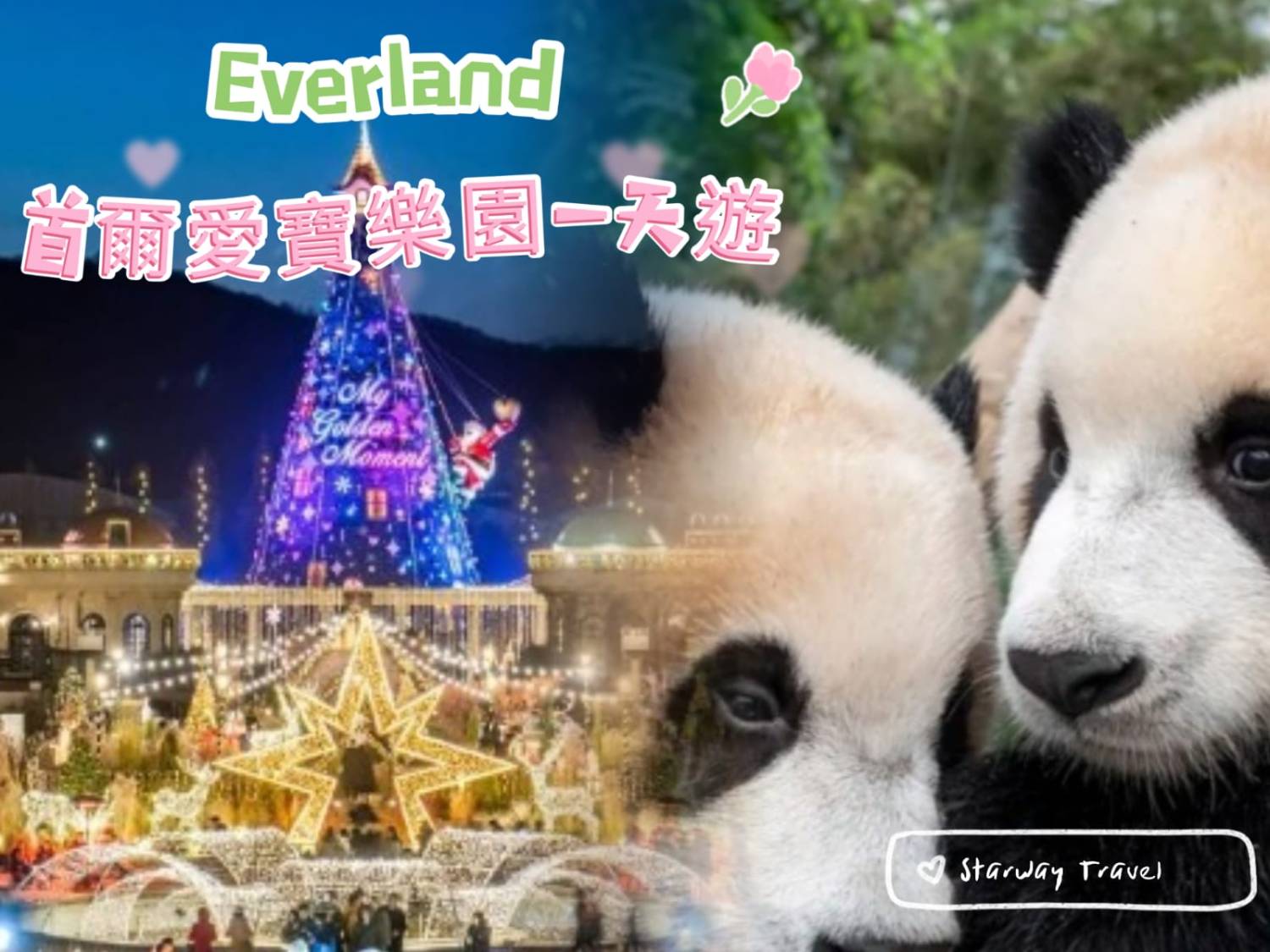 Starway Travel - Japan & Korea & Thailand | Day Tour Ticket LE-01 1