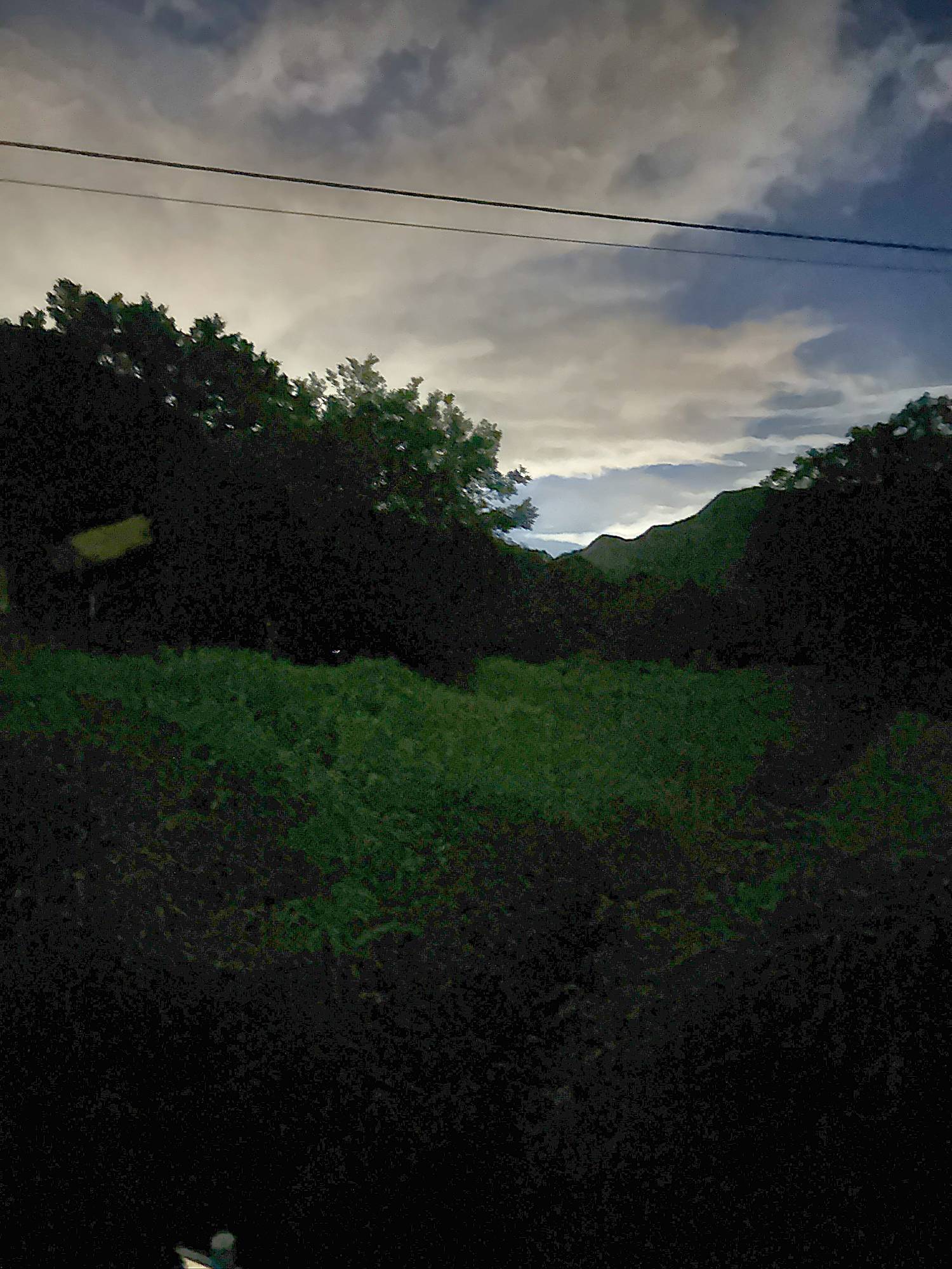 Fun Peak 螢火蟲之旅 1