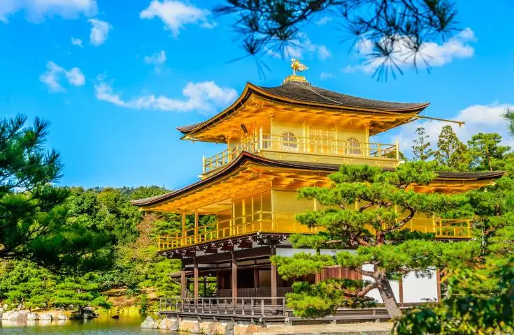 海日旅行社 【日本 一人成團系列】京都、奈良【東大寺、金閣寺、嵐山】1天團 4