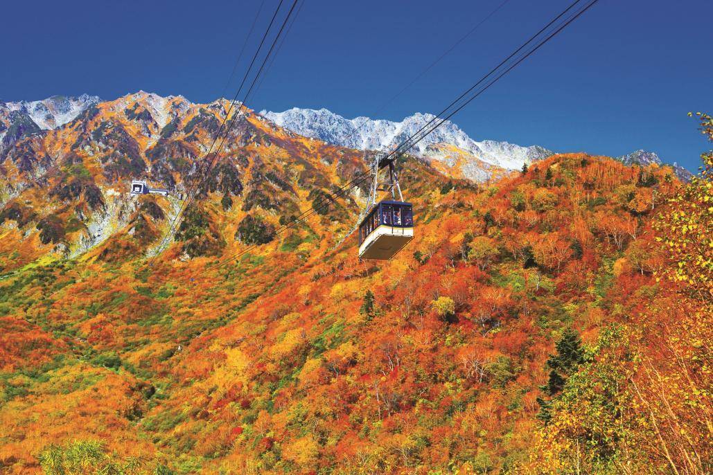 星程旅遊獨家優惠|日本、韓國、泰國 - 活動門票/套票/一天團 立山黑部紅葉三天團◎白川鄉◎上高地◎高山古街◎近江町市場◎包飛弾和牛◎包金箔雪糕◎包觀星私人風呂小木屋 KNT-03A 名古屋出發 3
