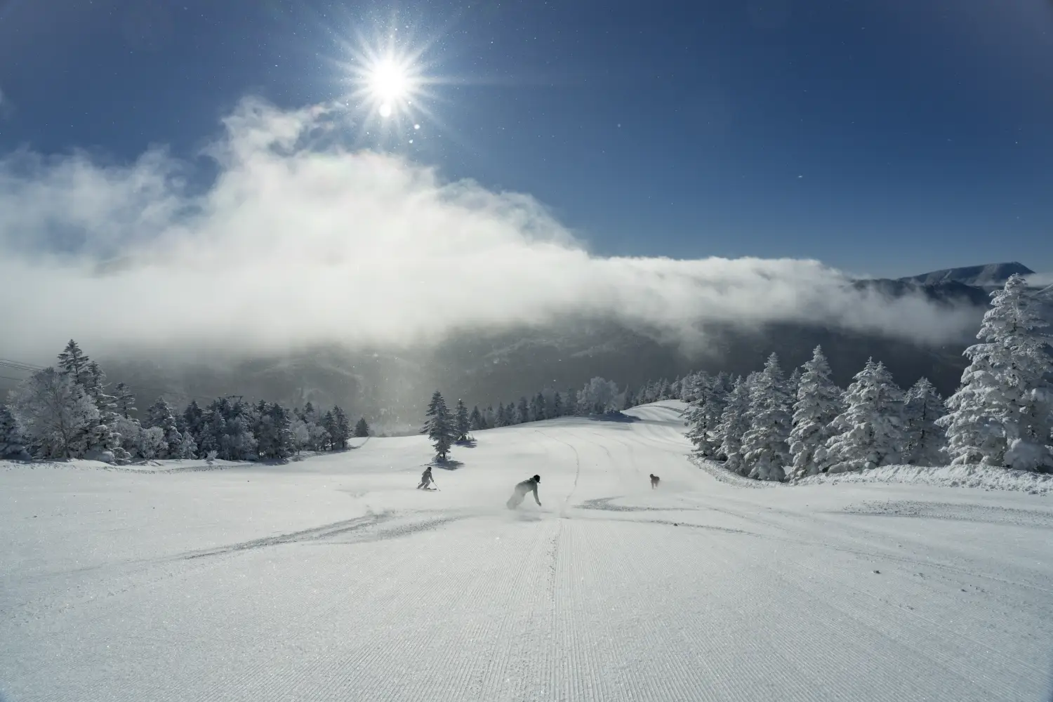 Young's Holidays - Diving Tours, Self-Drive Trips, Japan Campervans 【Nagano】Shiga Kogen Prince Hotel (East Building) Japan Ski Package 7