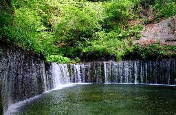 星程旅遊獨家優惠｜日本、韓國、泰國  - 活動門票/套票/一天團 山中湖時令季節花海 滿盛!!玩轉富士山 輕井澤夢幻美景 2天團【山中湖、果園任食、入住八岳森林小木屋】KTK-02H2 5