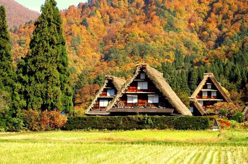 星程旅遊獨家優惠|日本、韓國、泰國 - 活動門票/套票/一天團 金澤紅葉二天團◎白川鄉◎兼六園◎上高地◎高山古街◎近江町市場◎包金箔雪糕 KNT-02A 名古屋出發 3