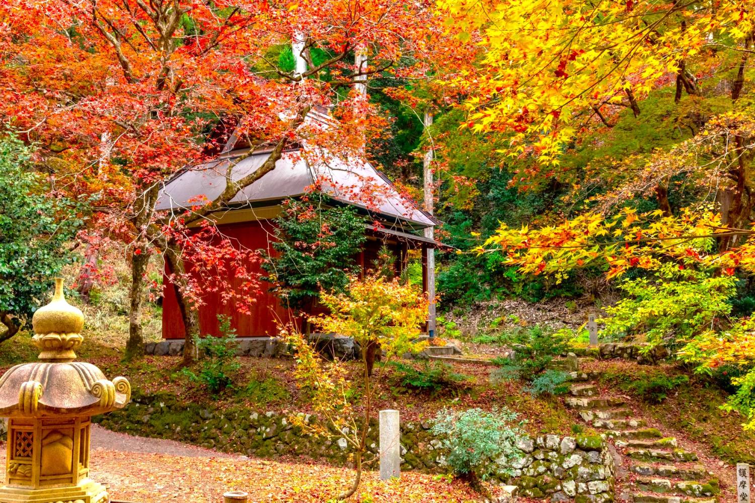 星程旅遊獨家優惠｜日本、韓國、泰國  - 活動門票/套票/一天團 琵琶湖紅葉名所秘境一天遊【牧野町杉木道 ▎長濱市雞足寺   】(KOB-01A) 大阪出發 2