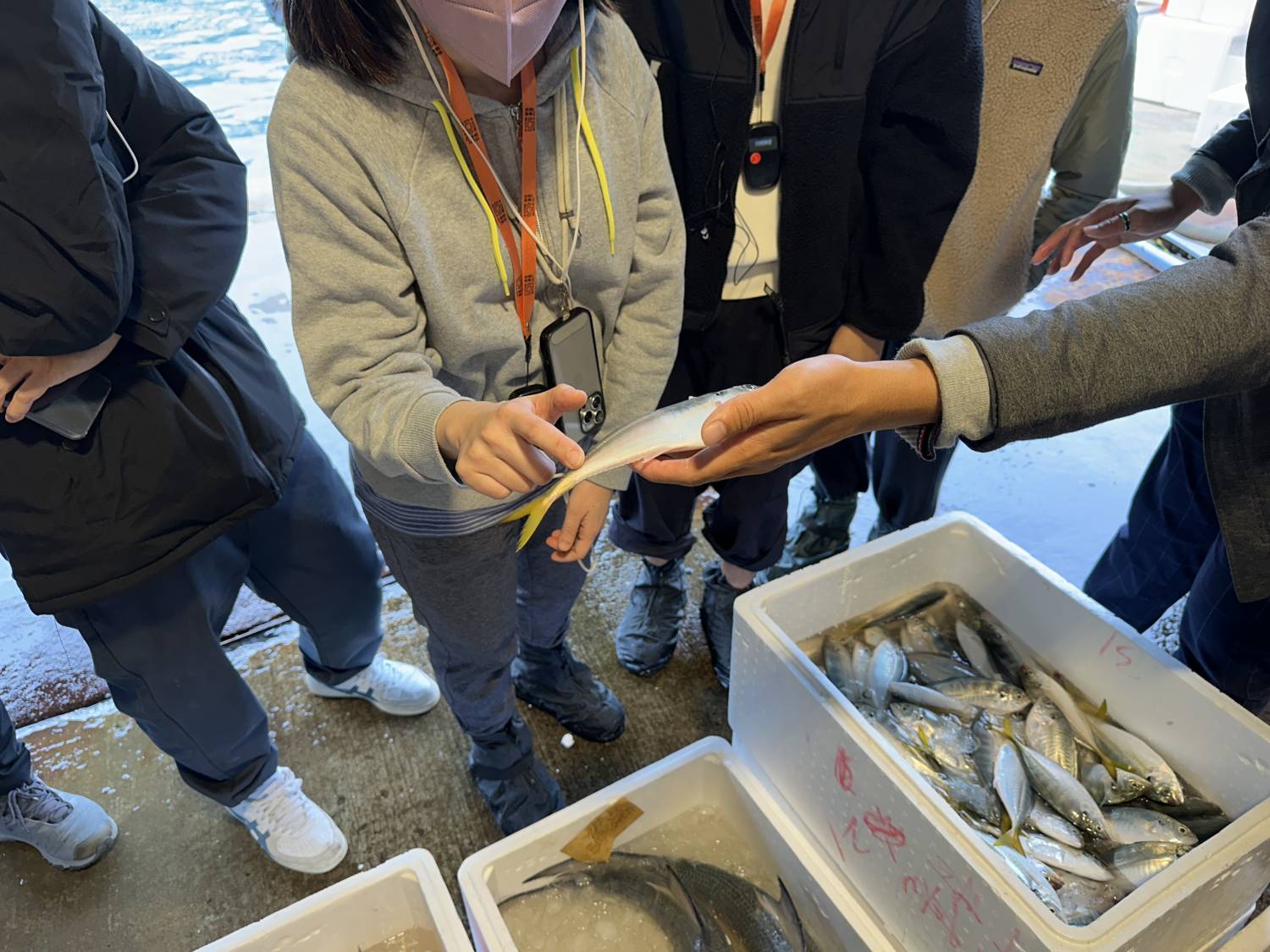 街坊帶路 漁家嚮導ｘ黎諾維「海魚學堂」(魚市場進階版) 3