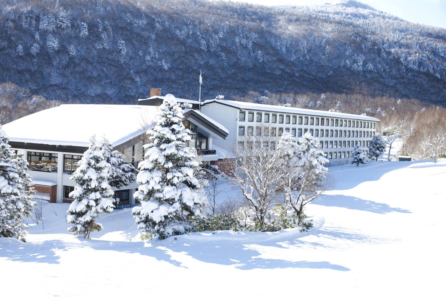 Young's Holidays 悠揚假期 【長野】志賀高原王子大飯店 （東館）日本滑雪自由行套票 10