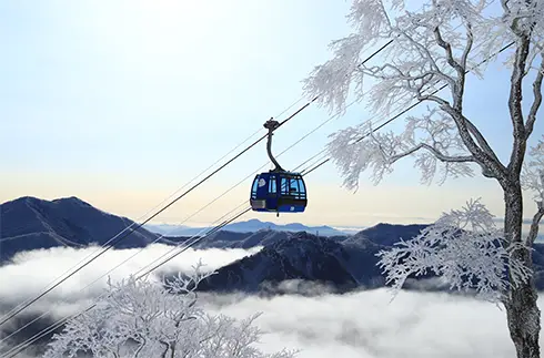 Young's Holidays - Diving Tours, Self-Drive Trips, Japan Campervans 【Niigata】Naeba Prince Hotel Japan Ski Package 6