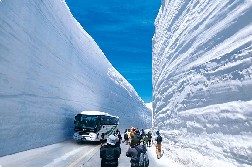 星程旅遊獨家優惠｜日本、韓國、泰國  - 活動門票/套票/一天團 〖立山黑部大雪谷〗◎白川鄉◎上高地◎高山古街◎近江町市場◎包飛弾和牛◎包金箔雪糕◎包任摘草莓◎觀星私人風呂小木屋三天團 KNT-03H【立山黑部漫步’’雪之迴廊’’,世界文化遺產-白川鄉合掌村,日本唯一淨土上高地,三大名園兼六園,高山古街,信州草莓任食放題】名古屋出發 1