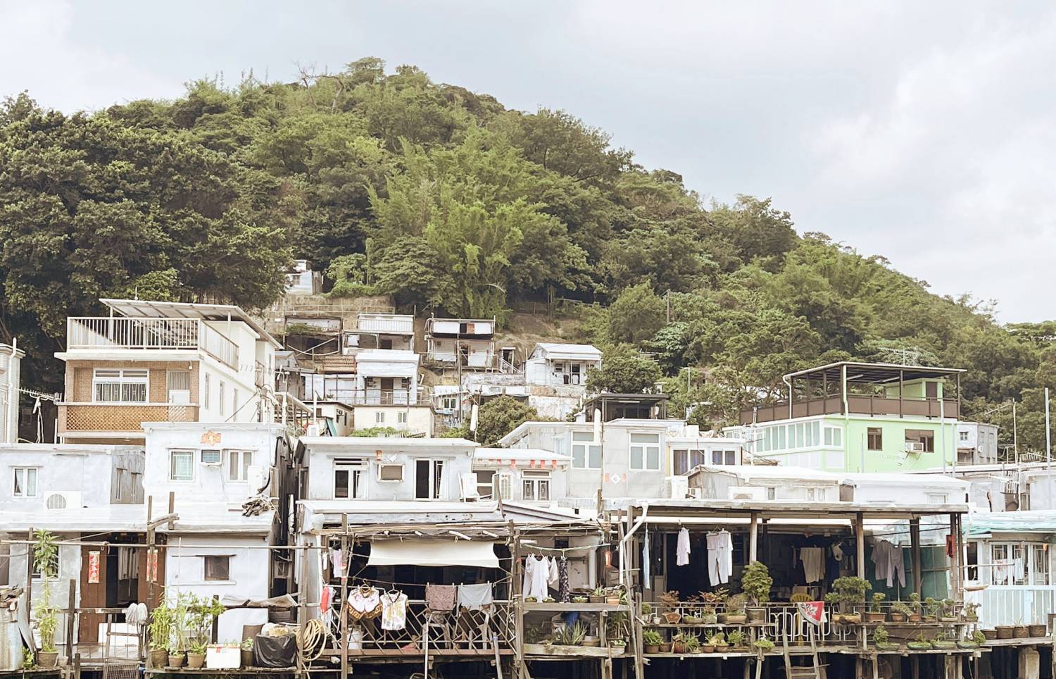 街坊帶路 「禪。在大嶼山」 - 靜心體驗 9