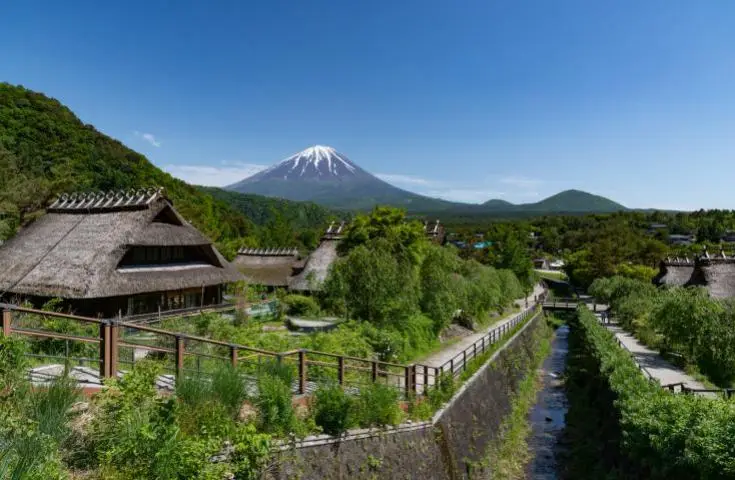 海日旅行社 【日本 一人成團系列】新宿出發 富士河口湖、西湖合掌村、甲州葡萄酒和牛美食 1天團 3