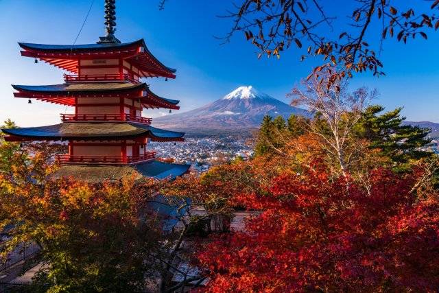 星程旅遊獨家優惠｜日本、韓國、泰國  - 活動門票/套票/一天團 東京富士山河口湖紅葉-1天團 【忍野八海、淺間神社、河口湖紅葉迴廊、富士山博物館】KTF-01A 1