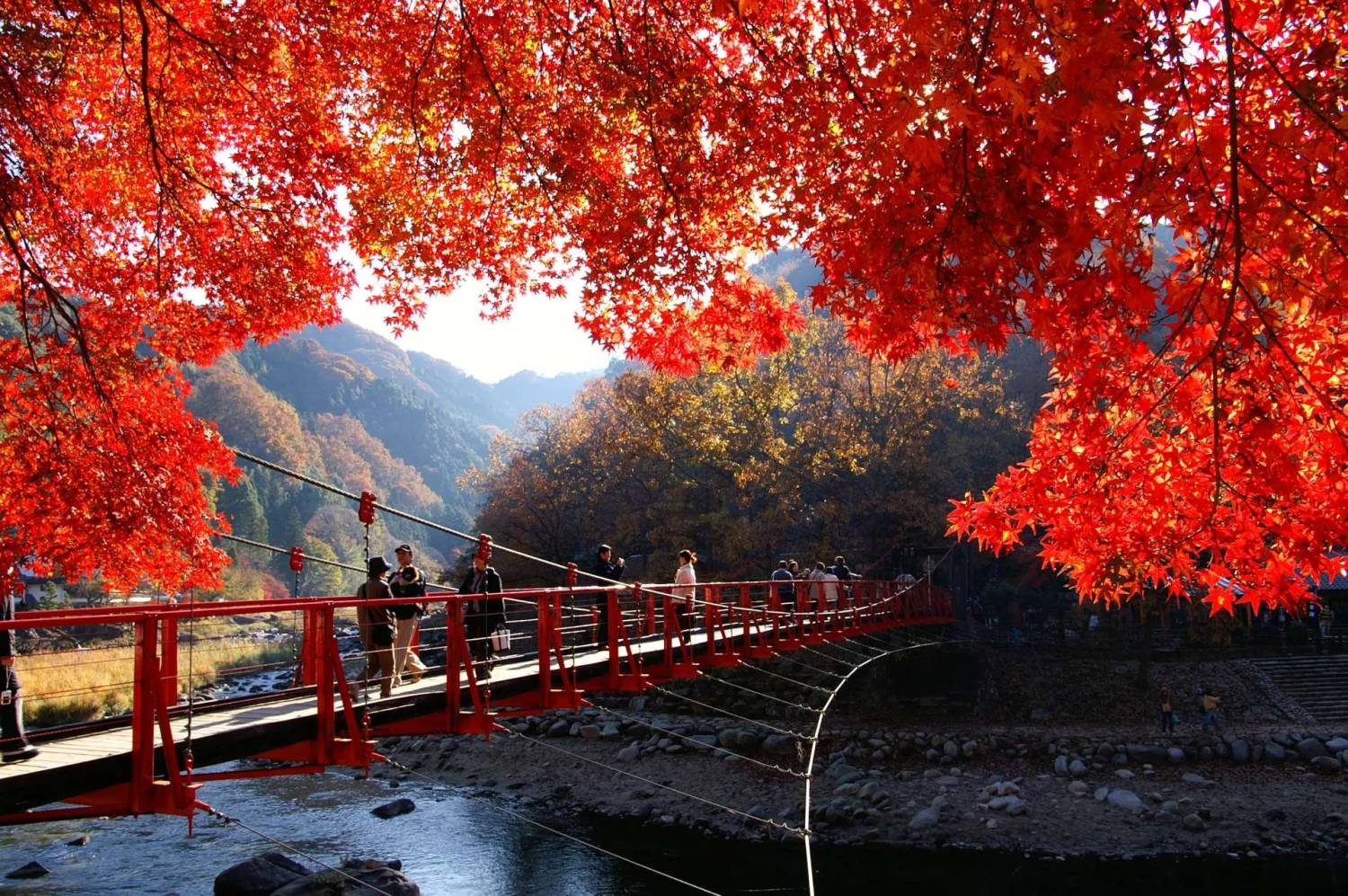 星程旅遊獨家優惠|日本、韓國、泰國 - 活動門票/套票/一天團 下呂紅葉名所一天遊(郡上八幡+犬山城下町)(KNK-01A) 1