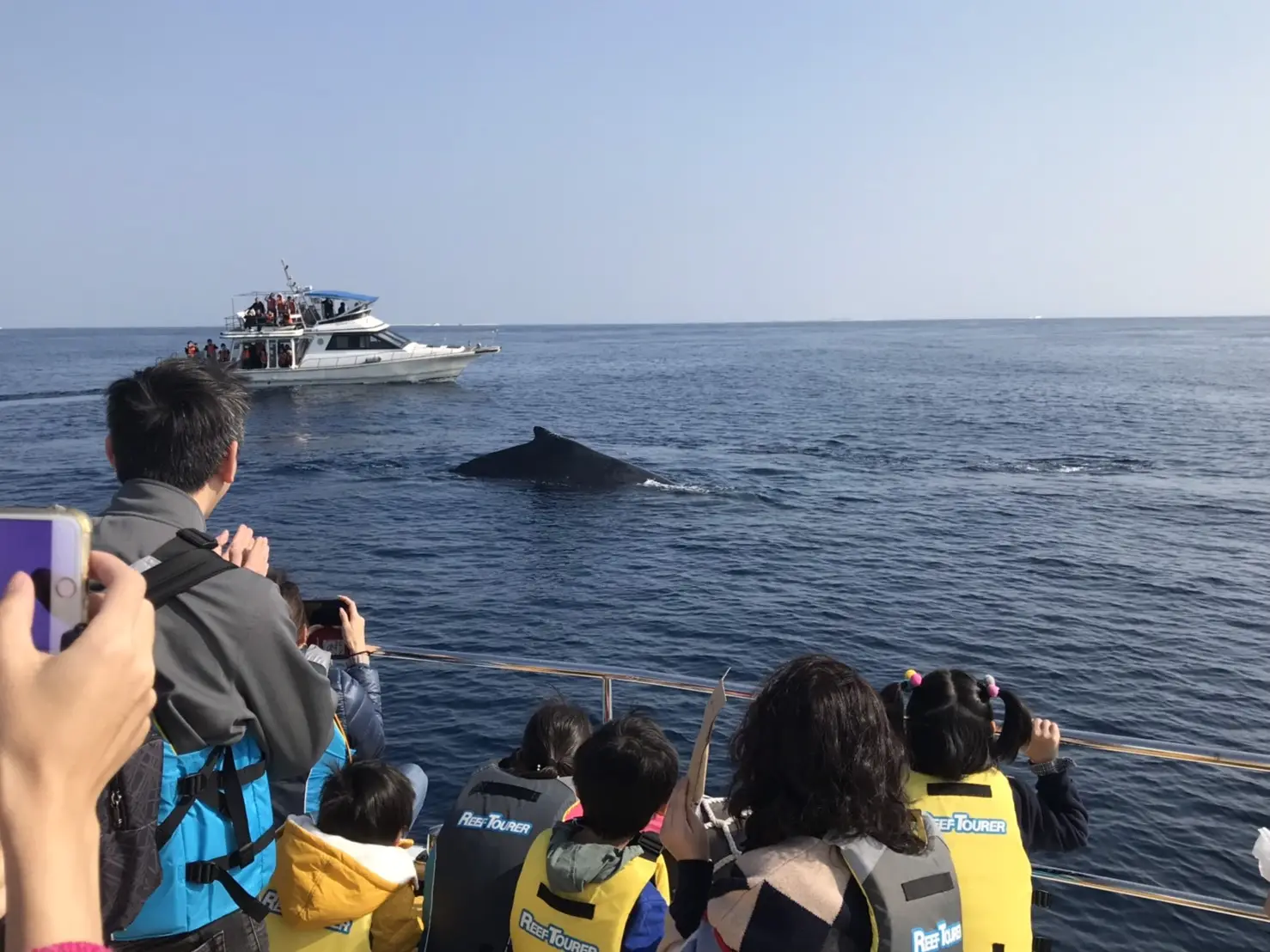 【日本露營及戶外活動旅行社】 LIVE.LAUGH.TRAVEL 那霸・北谷出發|<官網限定:贈送沖繩特色名菓!>出海賞鯨活動 4