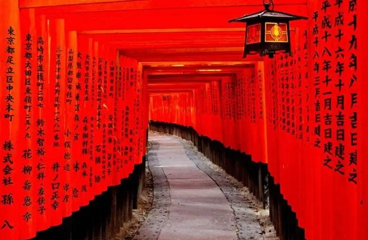海日旅行社 【日本 一人成團系列】京都、奈良【東大寺、金閣寺、嵐山】1天團 1
