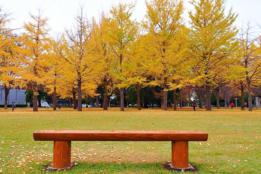 星程旅遊獨家優惠|日本、韓國、泰國 - 活動門票/套票/一天團 東京大洗紅葉 2天團 (花貫渓谷、那珂湊魚市場、銀杏並木、日立車站、神龍吊橋、牛久大佛) KTK-02A 3