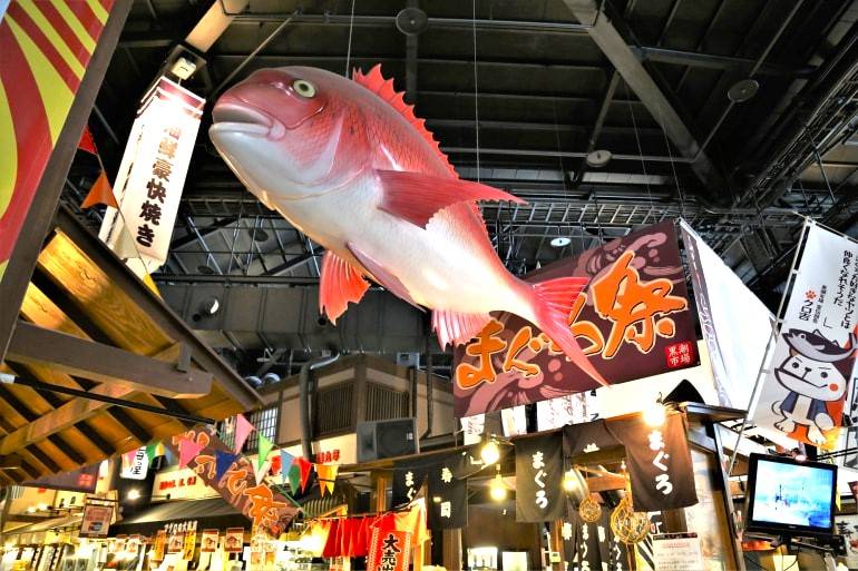 星程旅遊獨家優惠｜日本、韓國、泰國  - 活動門票/套票/一天團 大阪出發◆和歌山之旅◆時令果園體驗一天遊【貓站長和歌山鐵道體驗 ▎黒潮市場/歐羅巴港/紀之國水果村 ▎三大平原山城之一 和歌山城】(KOW-01N) 5