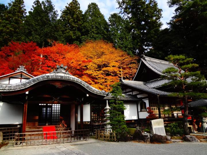 星程旅遊獨家優惠|日本、韓國、泰國 - 活動門票/套票/一天團 下呂紅葉名所一天遊(郡上八幡+犬山城下町)(KNK-01A) 2